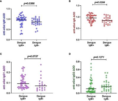 Association of dengue infection with anti-alpha-gal antibodies, IgM, IgG, IgG1, and IgG2